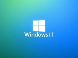 Problema GRAVA Windows 11 Microsoft NU Poate Rezolva