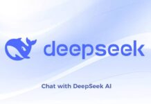 DeepSeek hat sein erstes ernstes Problem und zeigt seine Fragilität