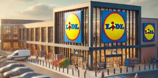 LIDL Romania Decizia Oficiala ULTIM MOMENT GRATUIT Inceputul Anului 2025