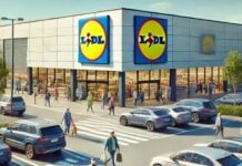 LIDL Romania Informeaza Oficial Romanii Decizia ULTIM MOMENT GRATUIT Magazine