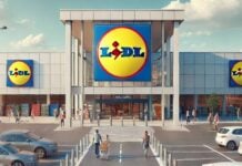 LIDL Romania Oportunitatea Oficiala Clienti GRATUIT Magazinele Toata Tara