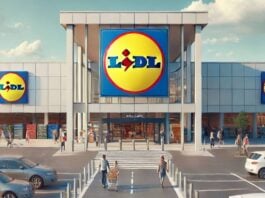 LIDL Romania Oportunitatea Oficiala Clienti GRATUIT Magazinele Toata Tara