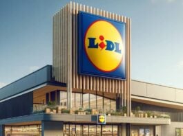 LIDL Romania experienta gratuit