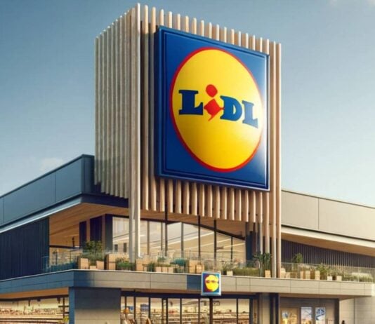 LIDL Romania experienta gratuit