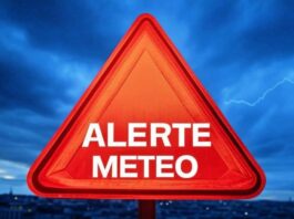 3 Coduri ALERTE ANM Meteorologice NOWCASTING Oficiale ULTIMA ORA Romania 1 Februarie 2025