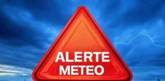 3 Coduri ALERTE ANM Meteorologice NOWCASTING Oficiale ULTIMA ORA Romania 1 Februarie 2025